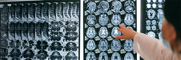 Händer håller jordglob